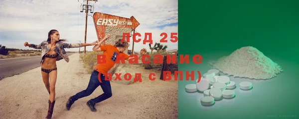 прущие грибы Алексин