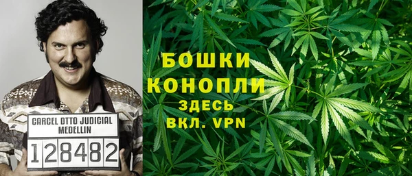 прущие грибы Алексин