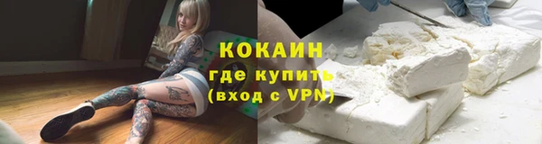 прущие грибы Алексин