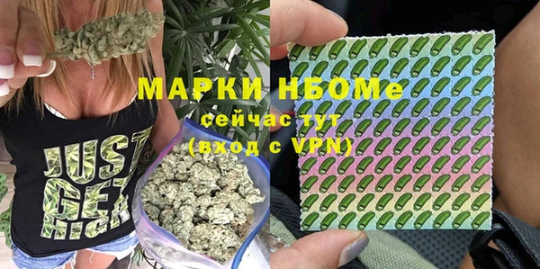 молекула духа Алексеевка